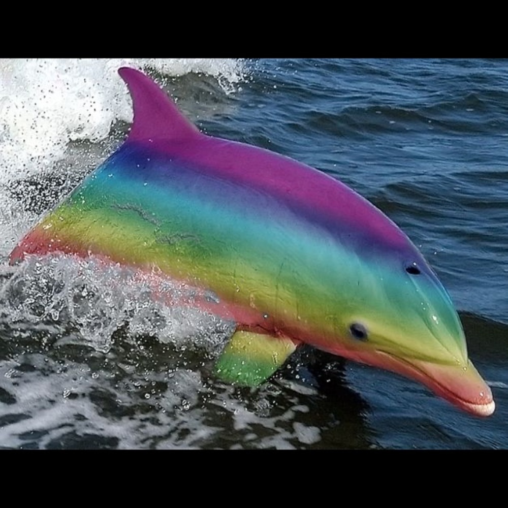 Meet your Posher, Liz